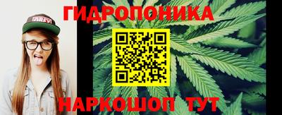 прущие грибы Малгобек