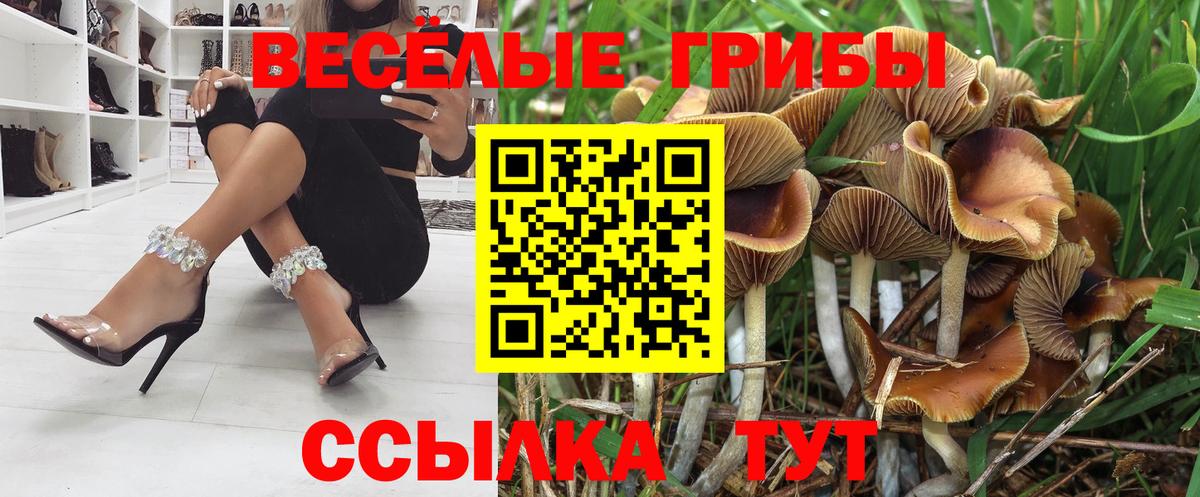 Псилоцибиновые грибы GOLDEN TEACHER  Вход с VPN  Сокол 