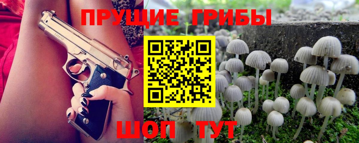 Галлюциногенные грибы ЛСД Сокол
