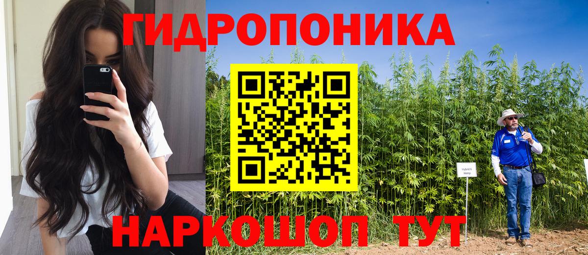 Сокол  Бошки Шишки VHQ  Вход с VPN  Бошки марихуана сатива  МАРИХУАНА индика 